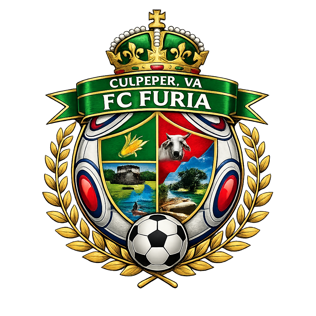 FC Furia logo